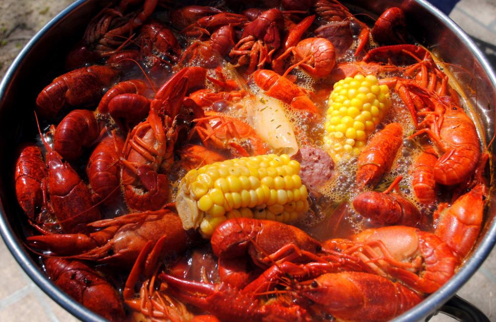 6605e92a8c1e42001e39d239